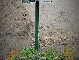 Sur le Chemin des Plantes de Gâtine : Herbiers d'une soixantaine de plantes de Gâtine exposés dans le jardin médiéval (jardin Férolle) - jusqu'au 27 octobre 2022 - Agrandir l'image (fenêtre modale)