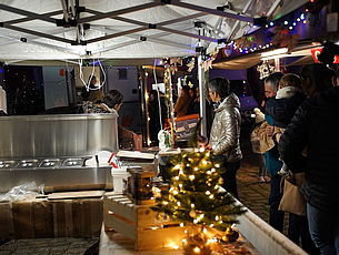 Agrandir l'image (fenêtre modale)