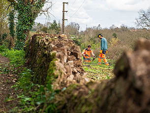 Agrandir l'image (fenêtre modale)