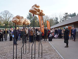 Agrandir l'image (fenêtre modale)