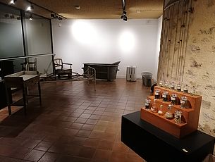 Vues d'exposition "La santé en Gâtine" - Agrandir l'image (fenêtre modale)