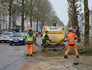 Élagage des arbres de l’avenue du Général de Gaulle - Février 2021 - Agrandir l'image (fenêtre modale)