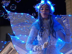 Agrandir l'image (fenêtre modale)