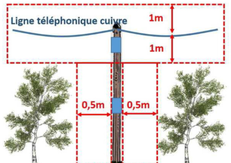 Agrandir l'image (fenêtre modale)