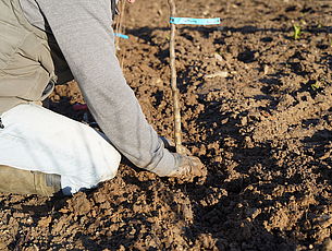 Agrandir l'image (fenêtre modale)