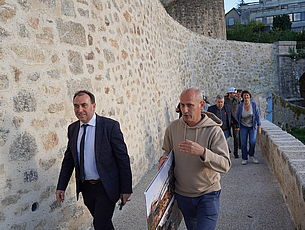 Agrandir l'image (fenêtre modale)
