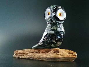 Agrandir l'image (fenêtre modale)