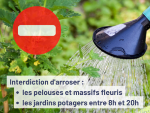 interdiction d'arroser les pelouses, massifs fleuris et interdiction d'arroser des jardins potagers entre 8h et 20h - Agrandir l'image (fenêtre modale)