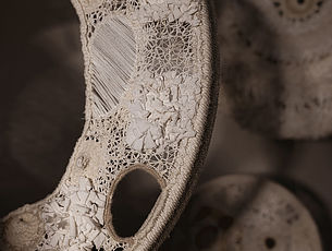 Agrandir l'image (fenêtre modale)