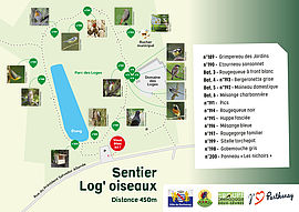 Agrandir l'image (fenêtre modale)