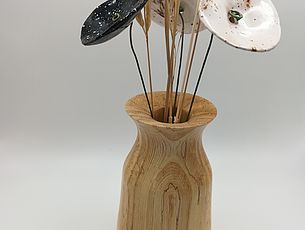 Agrandir l'image (fenêtre modale)