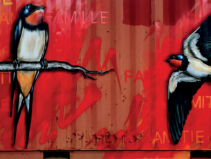 Agrandir l'image (fenêtre modale)