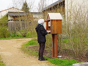 Agrandir l'image (fenêtre modale)