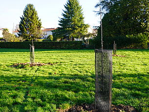 Agrandir l'image (fenêtre modale)