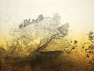Agrandir l'image (fenêtre modale)