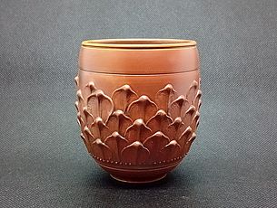 Agrandir l'image (fenêtre modale)