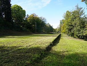 Agrandir l'image (fenêtre modale)