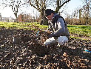 Agrandir l'image (fenêtre modale)