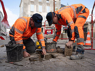 Agrandir l'image (fenêtre modale)