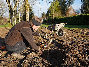 Agrandir l'image (fenêtre modale)