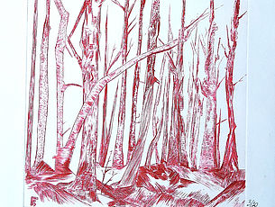 Agrandir l'image (fenêtre modale)