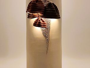 Agrandir l'image (fenêtre modale)