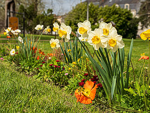 Agrandir l'image (fenêtre modale)