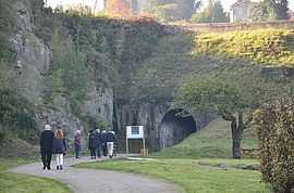 Agrandir l'image (fenêtre modale)