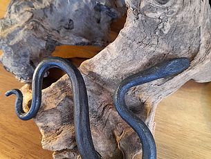 Agrandir l'image (fenêtre modale)