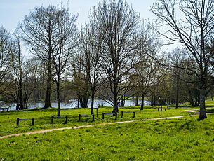 Agrandir l'image (fenêtre modale)