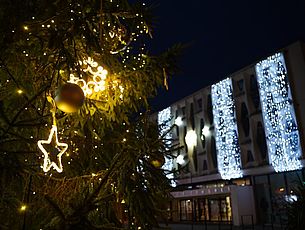 Agrandir l'image (fenêtre modale)