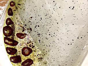 Agrandir l'image (fenêtre modale)