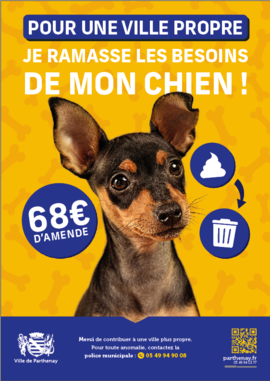 Agrandir l'image (fenêtre modale)