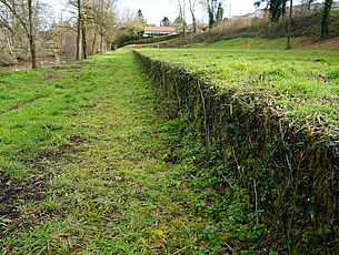 Agrandir l'image (fenêtre modale)