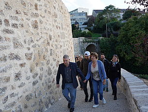 Agrandir l'image (fenêtre modale)