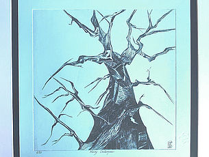 Agrandir l'image (fenêtre modale)