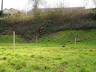 Agrandir l'image (fenêtre modale)