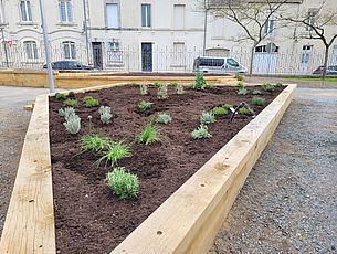 Agrandir l'image (fenêtre modale)