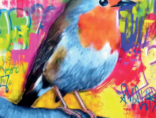 Agrandir l'image (fenêtre modale)