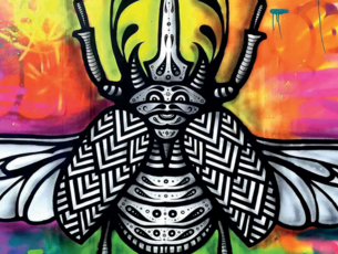 Agrandir l'image (fenêtre modale)