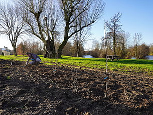 Agrandir l'image (fenêtre modale)