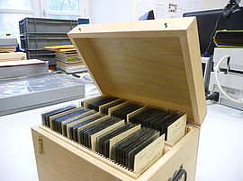 Agrandir l'image (fenêtre modale)