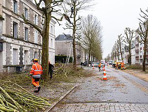 Élagage des arbres de l’avenue du Général de Gaulle - Février 2021 - Agrandir l'image (fenêtre modale)