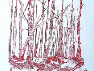 Agrandir l'image (fenêtre modale)