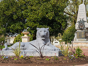 Agrandir l'image (fenêtre modale)