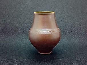 Agrandir l'image (fenêtre modale)